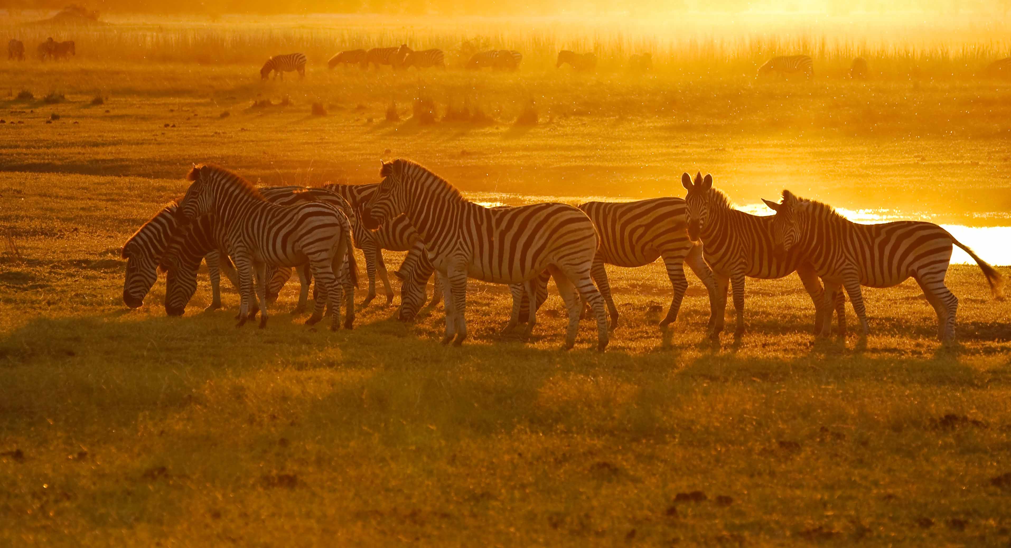 津巴布韦维多利亚瀑布城+9